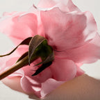 Chloé Eau de Parfum Lumineuse 50ml Spray