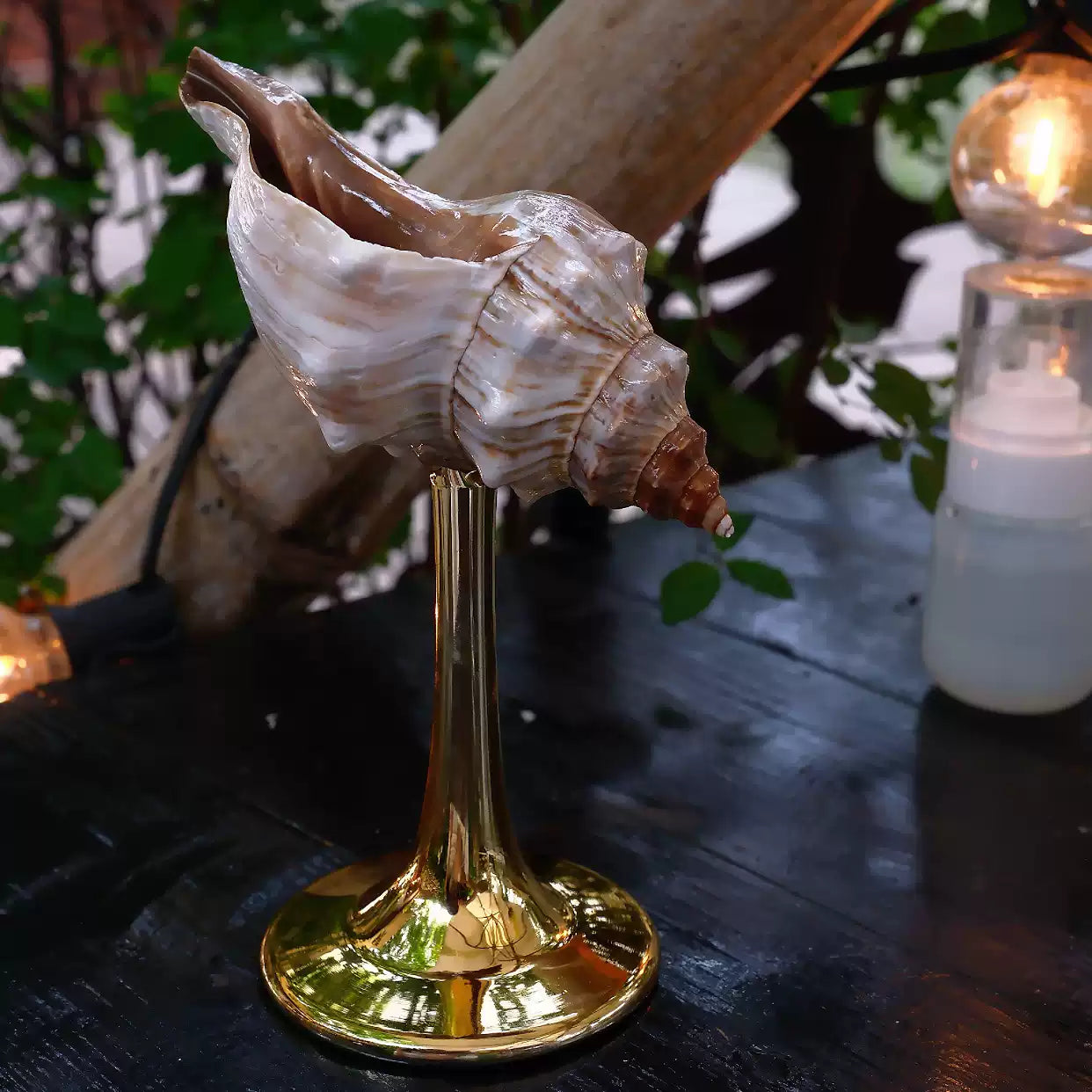 Ocean Conch Wine Glass