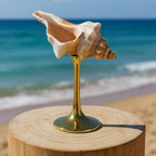 Ocean Conch Wine Glass