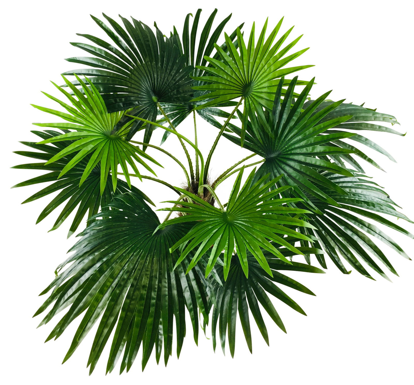 Konstgjord fläktpalm 150cm