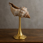 Ocean Conch Wine Glass