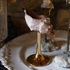 Ocean Conch Wine Glass