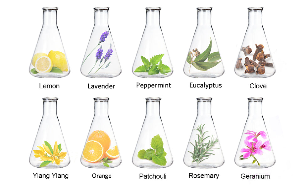 LagunaMoon Aroma Diffuser with Essential Oils Present set - 10st