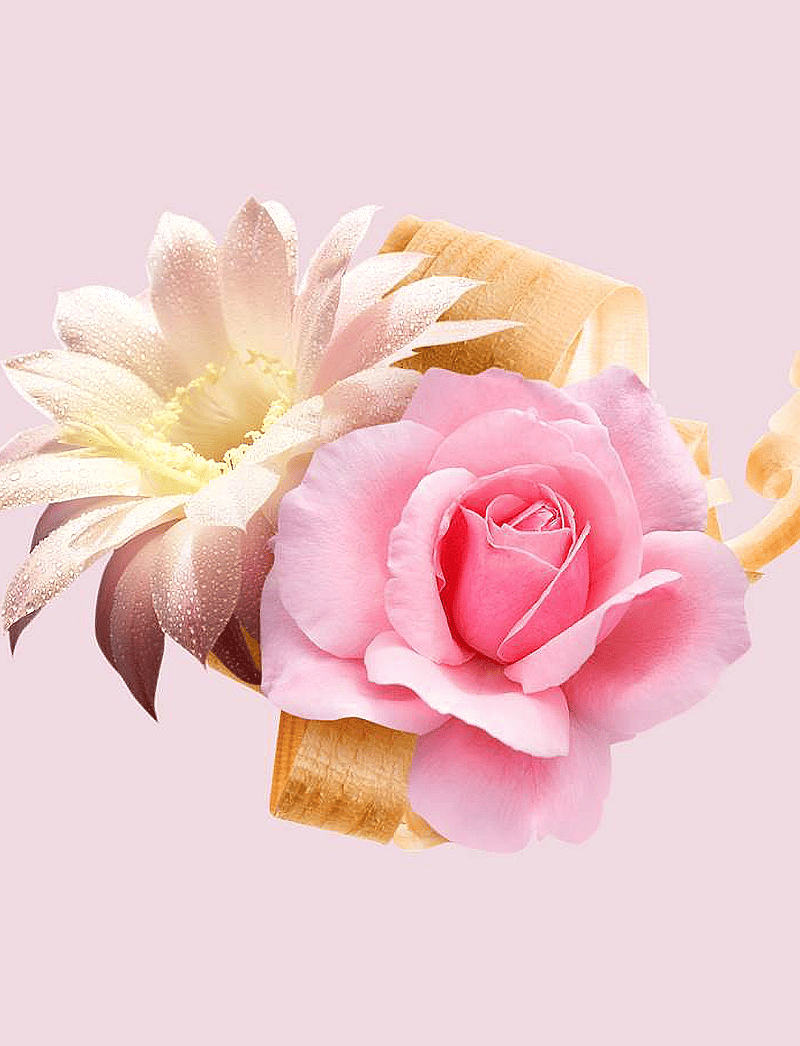 Hugo Boss Boss Ma Vie L'Eau Eau de Toilette 50ml Sprej