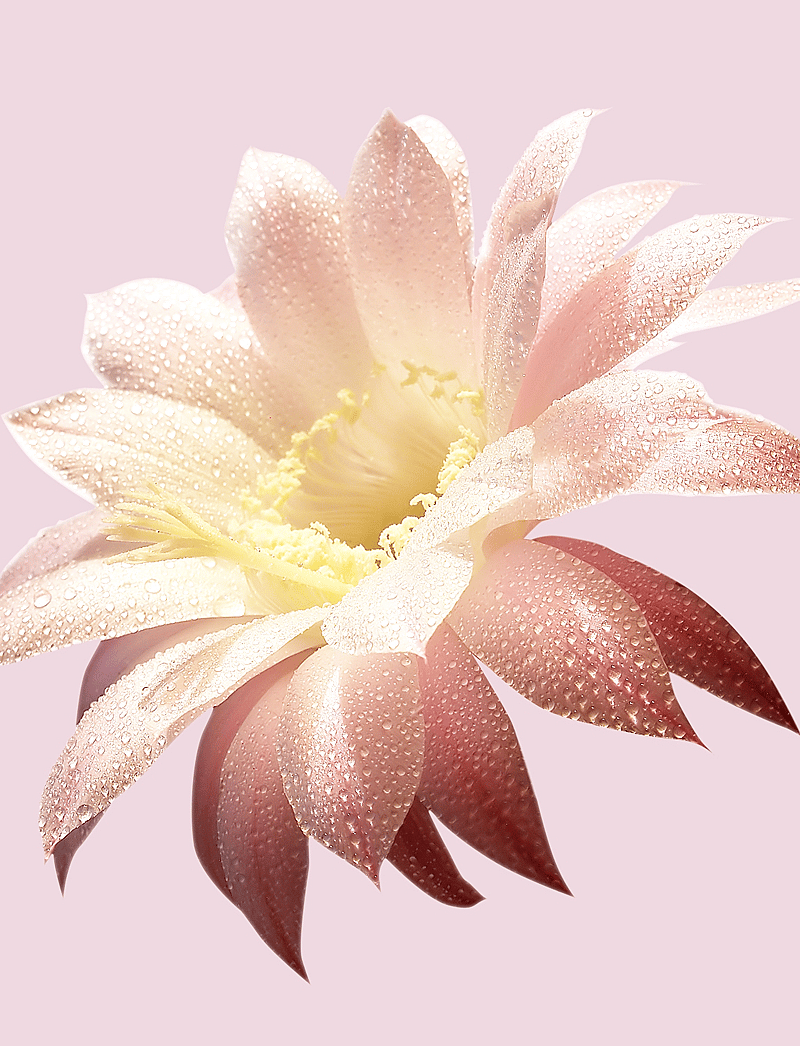 Hugo Boss Boss Ma Vie L'Eau Eau de Toilette 50ml Sprej