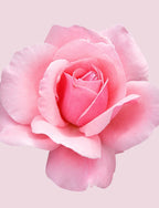 Hugo Boss Boss Ma Vie L'Eau Eau de Toilette 50ml Sprej