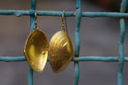 Real Clam Shell Earrings, Handmade Nature Jewelry, Organic Nature Earrings, Gift for Wisdom & Connection, Gold or Sterling Silver 925-4