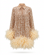 Luminous Sequin Feather Mini Dress