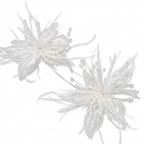 Ethereal Feather Pearl Drop Earrings